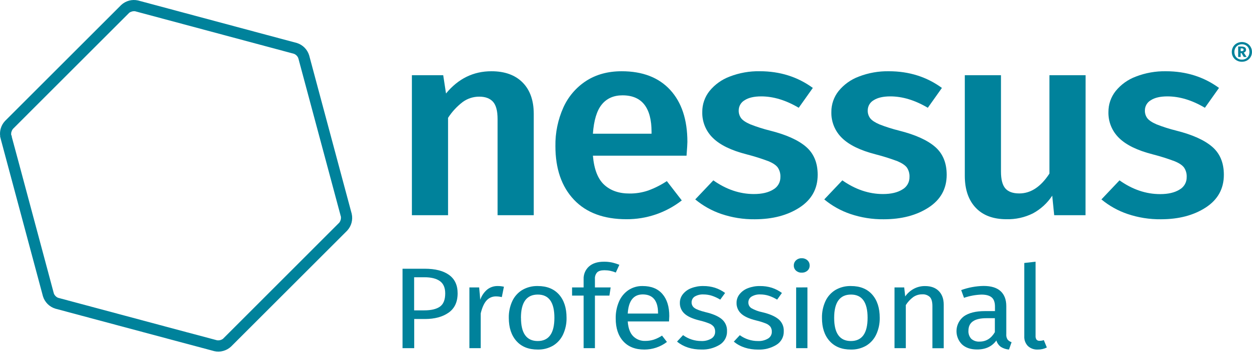 Nessus-Professional-FullColor-RGB.svg
